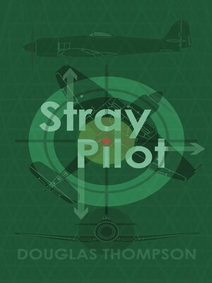 cover image of Stray Pilot